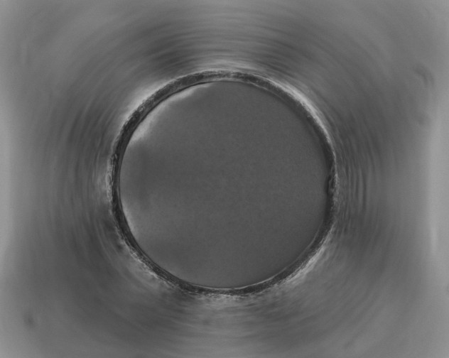 X0000114580783200911091235