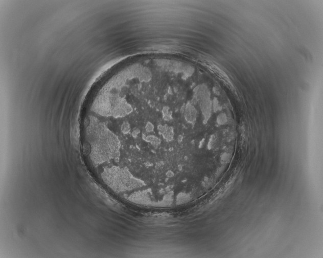 X0000114580784200911091235