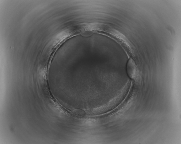 X0000114580785200911091235