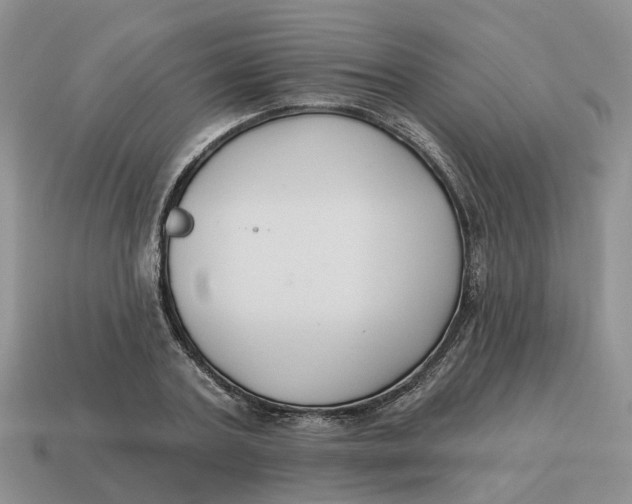 X0000114580787200911091235