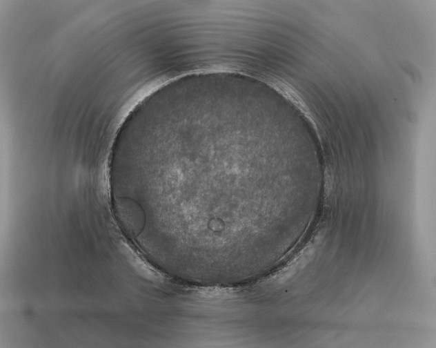 X0000114580789200911091235