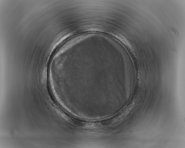 X0000114580790200911091235