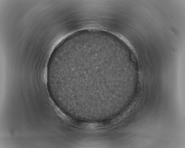 X0000114580791200911091235