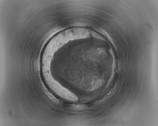 X0000114580795200911091235