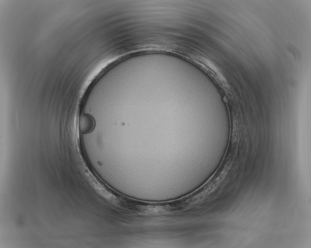 X0000114580796200911091235