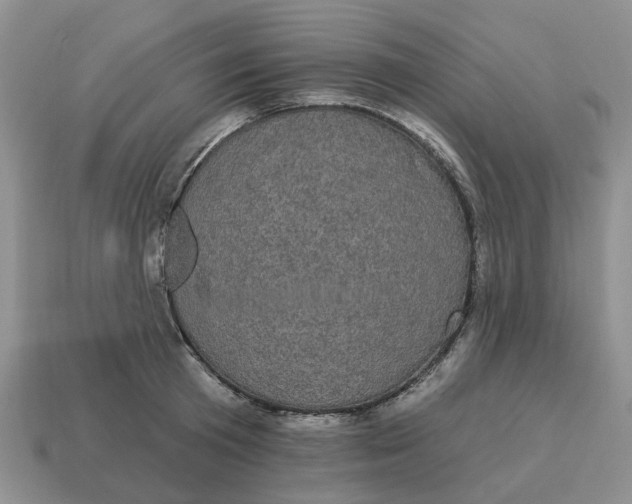 X0000114580801200911091234