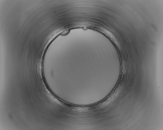 X0000114580802200911091234