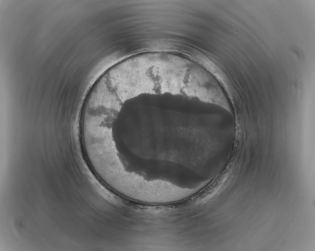 X0000114580803200911091234