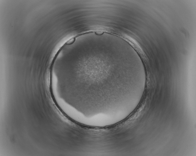 X0000114580804200911091234