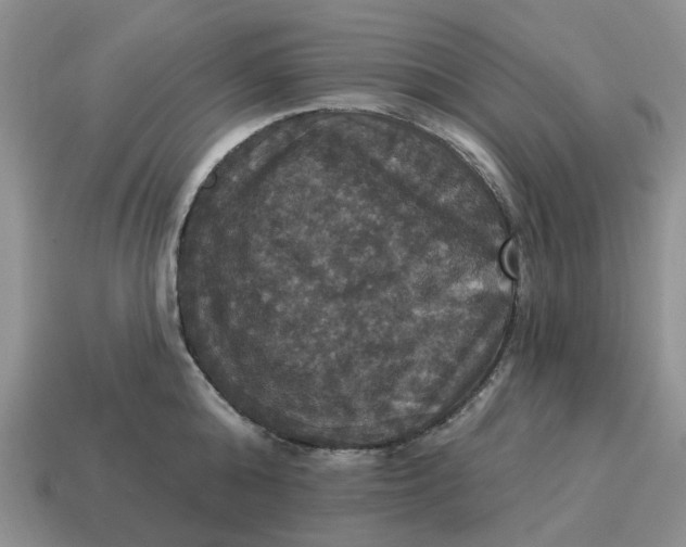 X0000114580808200911091234