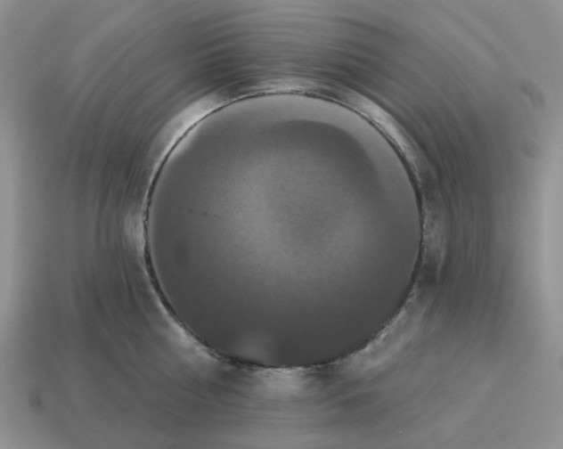 X0000114580810200911091234