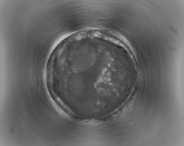 X0000114580811200911091234