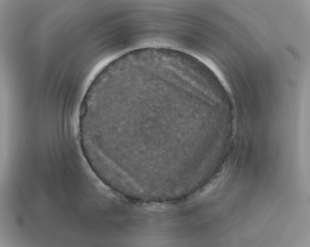 X0000114580815200911091234