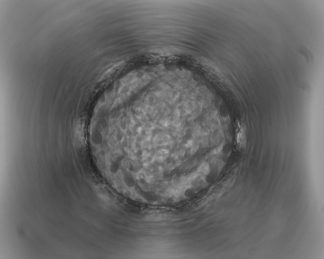 X0000114580819200911091234