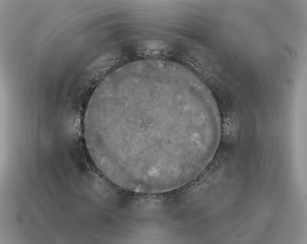 X0000114580820200911091234