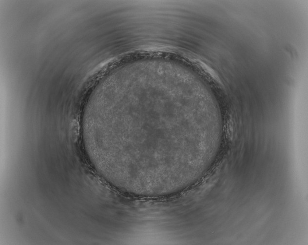 X0000114580821200911091234