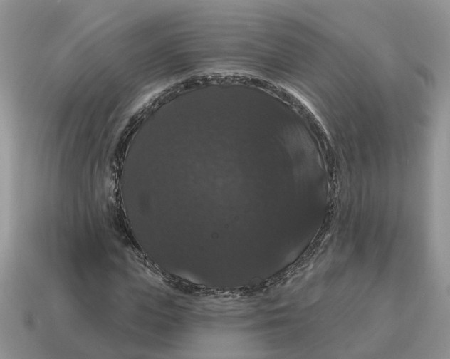 X0000114580823200911091234