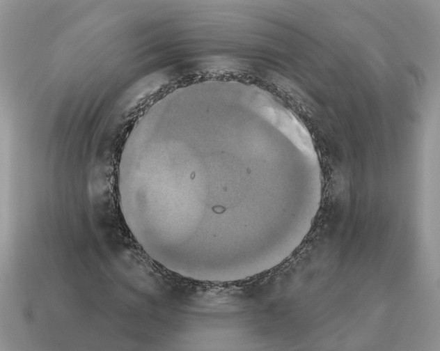 X0000114580824200911091234