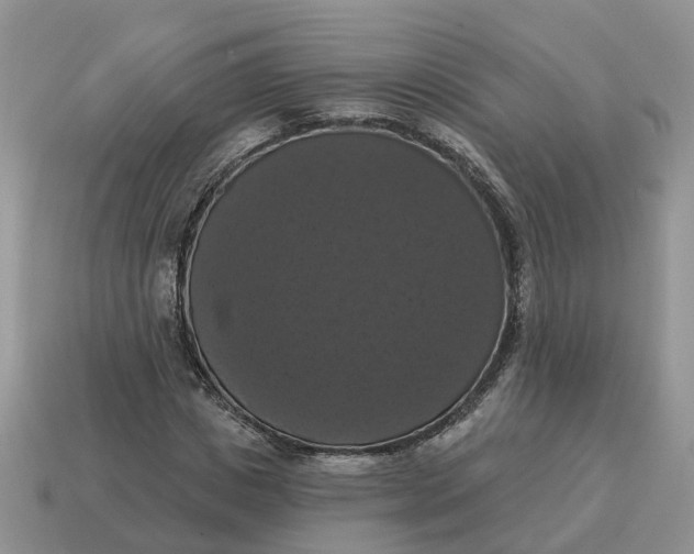 X0000114580825200911091234