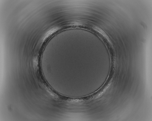 X0000114580826200911091234