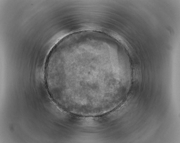 X0000114580828200911091234