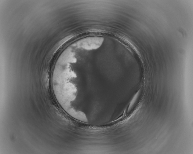 X0000114580829200911091234