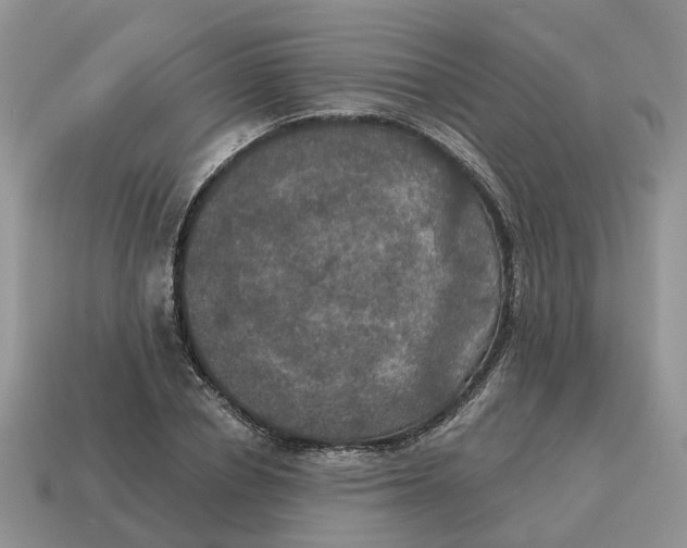 X0000114580834200911091234