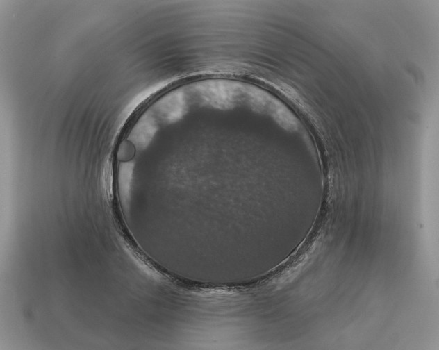 X0000114580838200911091234