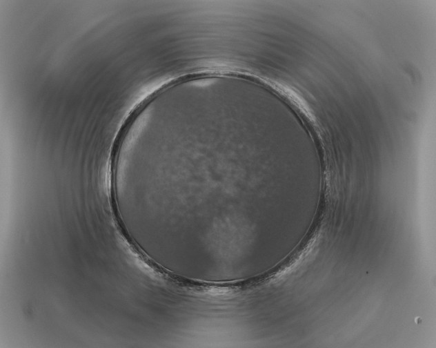 X0000114580839200911091234