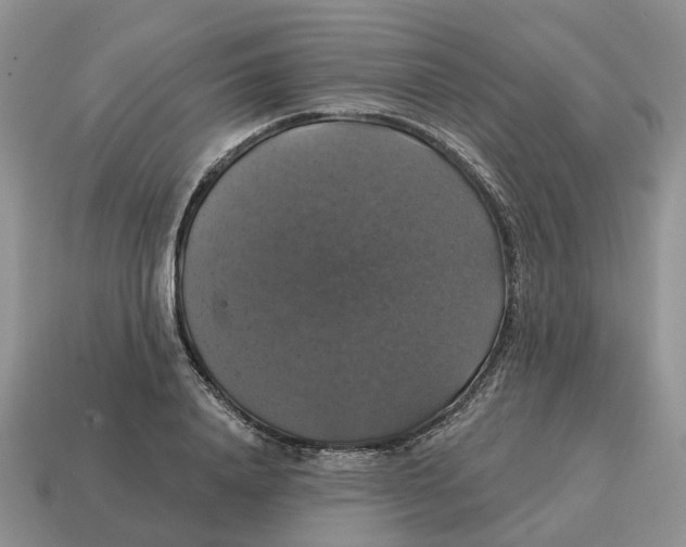 X0000114580840200911091234