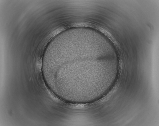 X0000114580841200911091234