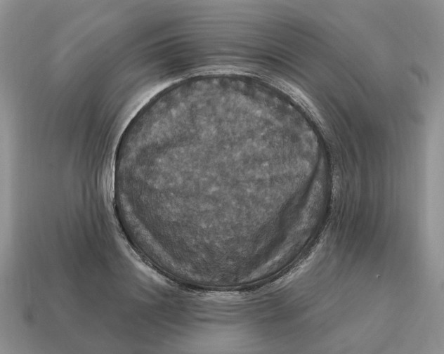 X0000114580844200911091234