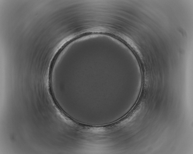 X0000114580845200911091234