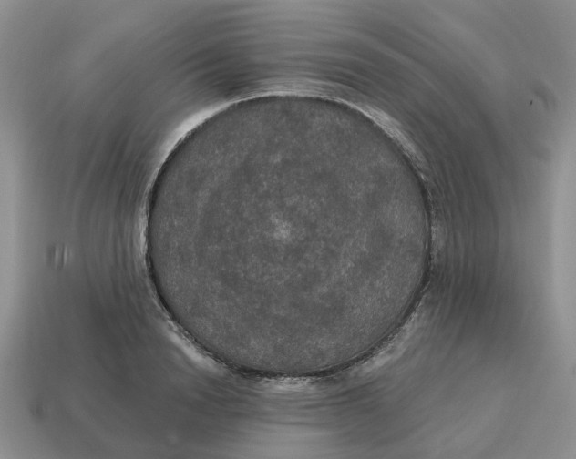 X0000114580846200911091234