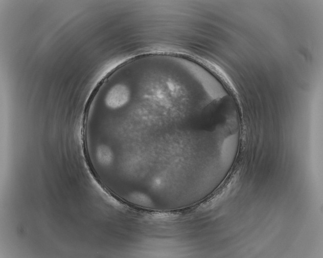 X0000114580847200911091234