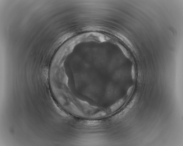 X0000114580849200911091234