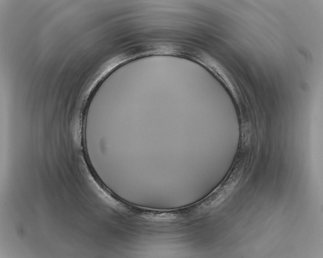 X0000114580851200911091234