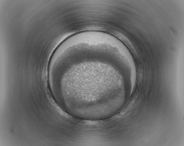 X0000114580852200911091234