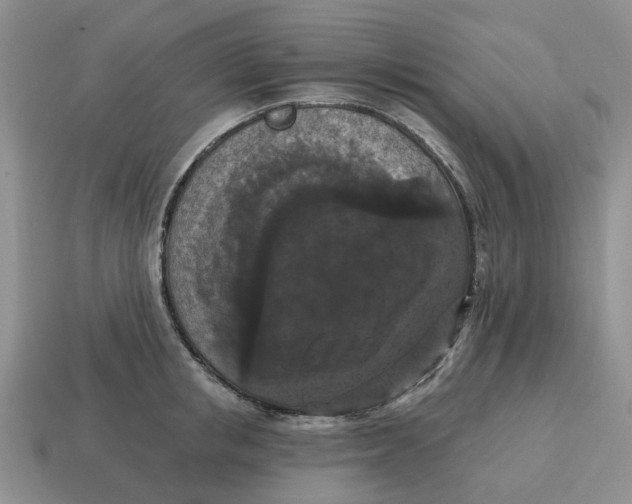 X0000114580853200911091234