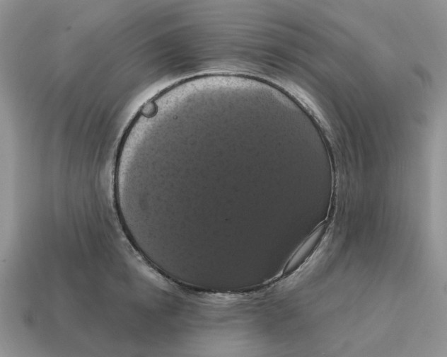 X0000114580854200911091234