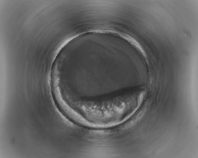 X0000114580855200911091234