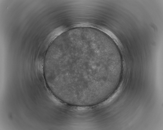 X0000114580857200911091234