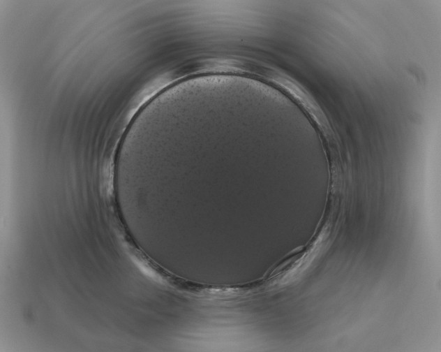 X0000114580858200911091234