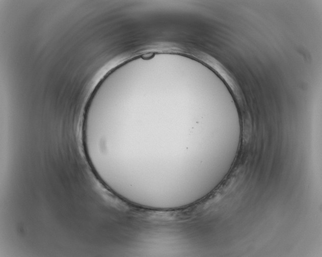 X0000114580861200911091234