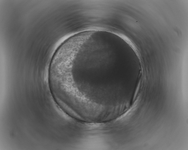 X0000114580862200911091234