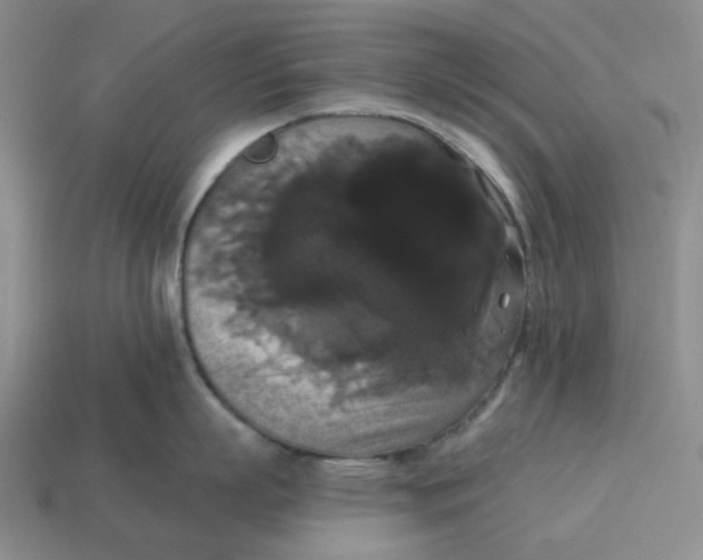 X0000114580863200911091234