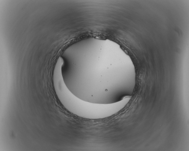 X0000114580865200911091234