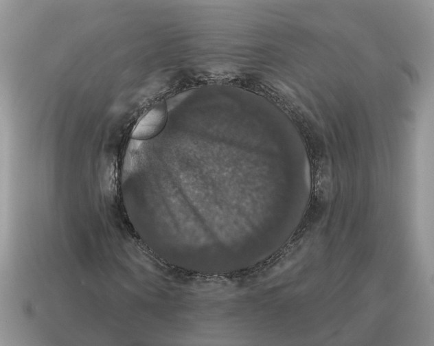 X0000114580866200911091234