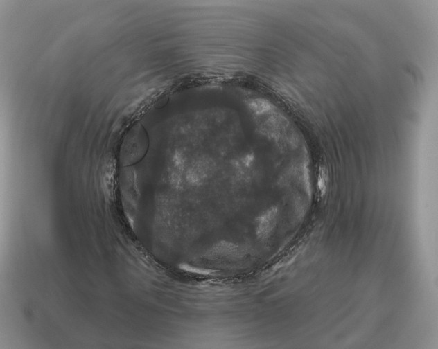 X0000114580867200911091234