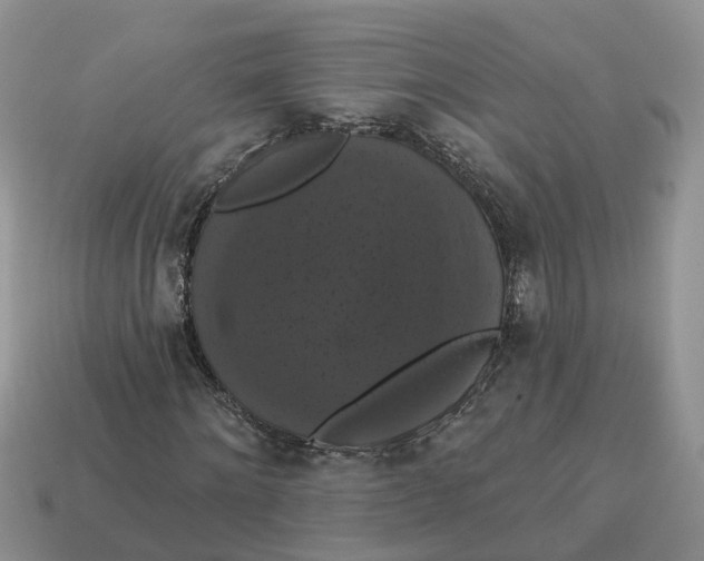 X0000114580868200911091234